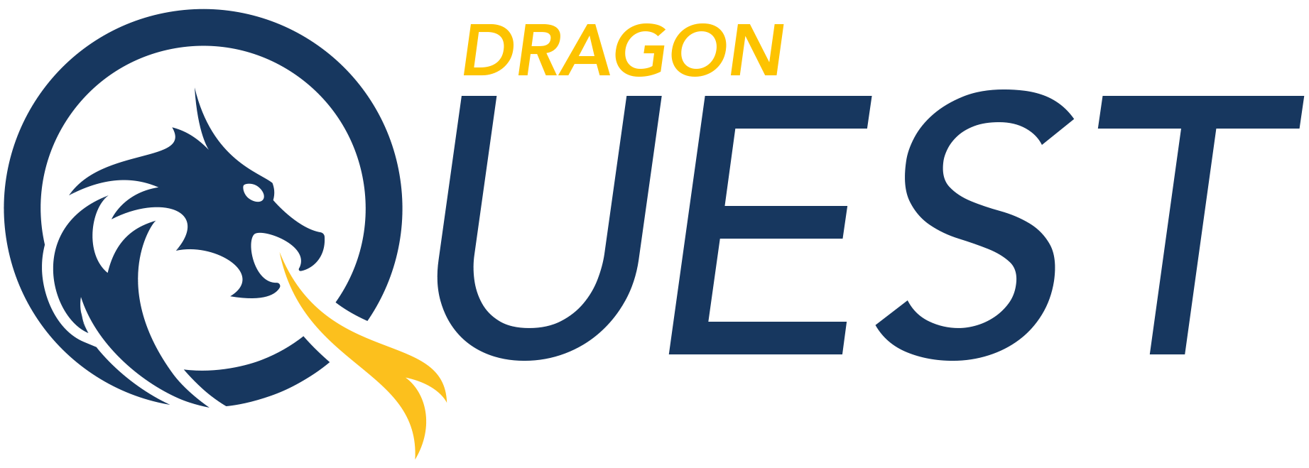 Dragon Quest Brochure - Burst Design Project - Burst Design